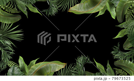 3d render frame from tropical plants on a black blackground 79673525