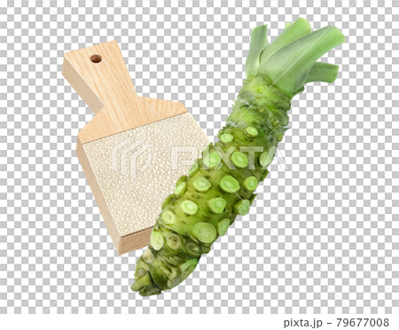 生わさび わさび イラスト リアル 鮫皮おろし セット 79677008