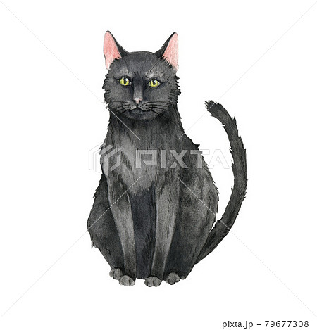 Black Cat Animal Watercolor Illustration Hand のイラスト素材