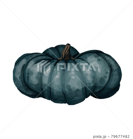 Beautiful white, rose end blue pumpkins on isolated white background. Autumn set of elements on isolated white background. Watercolor illustration. Hand drawing. It is perfect for thanksgiving cards Beautiful white, rose end blue pumpkins on isolated white background. Autumn set of elements on isolated white background. Watercolor illustration. Hand drawing. It is perfect for thanksgiving cards 79677482