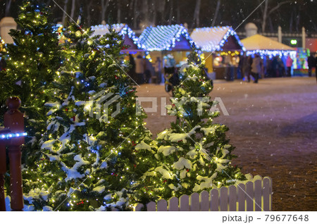 Christmas city background .Christmas trees at the festive fair. 79677648