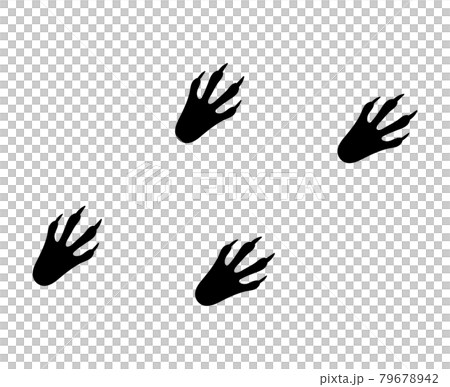 Crocodile footprints Crocodile footprints 79678942