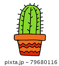 鉢に植えられたサボテン 79680116