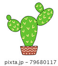 鉢に植えられたサボテン 79680117