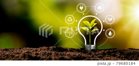 Ecological friendly and sustainable environment 79680184