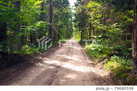 Vintage fall forest road. Dirt road in the woods. Sunshine. 79680508