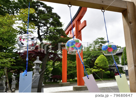 北海道函館市湯倉神社の境内に夏詣での風鈴飾りのある風景を撮影 北海道函館市湯倉神社の境内に夏詣での風鈴飾りのある風景を撮影 79680647