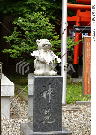 夏の北海道函館市湯倉神社の境内の風景を撮影 夏の北海道函館市湯倉神社の境内の風景を撮影 79680780