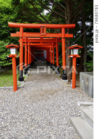夏の北海道函館市湯倉神社の境内の風景を撮影 夏の北海道函館市湯倉神社の境内の風景を撮影 79680783