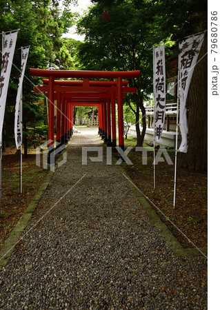 夏の北海道函館市湯倉神社の境内の風景を撮影 79680786