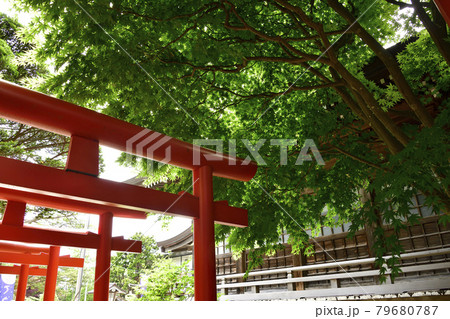 夏の北海道函館市湯倉神社の境内の風景を撮影 夏の北海道函館市湯倉神社の境内の風景を撮影 79680787