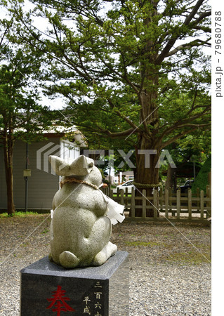 夏の北海道函館市湯倉神社の境内の風景を撮影 夏の北海道函館市湯倉神社の境内の風景を撮影 79680788
