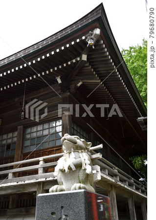 夏の北海道函館市湯倉神社の境内の風景を撮影 夏の北海道函館市湯倉神社の境内の風景を撮影 79680790