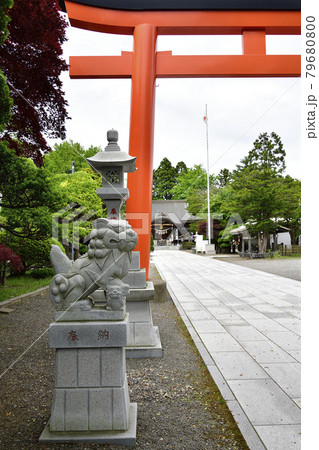 夏の北海道函館市湯倉神社の境内の風景を撮影 夏の北海道函館市湯倉神社の境内の風景を撮影 79680800