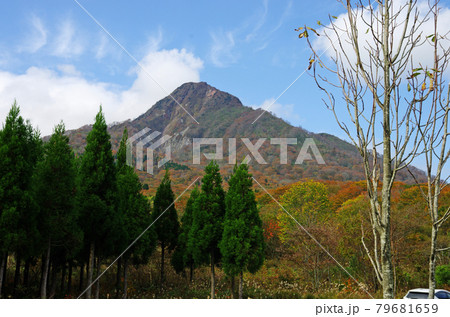 大山の鳥ヶ山展望駐車場から望む鳥ヶ山 大山の鳥ヶ山展望駐車場から望む鳥ヶ山 79681659