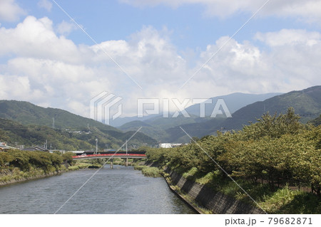 夏の河津川にて（静岡県河津町） 79682871