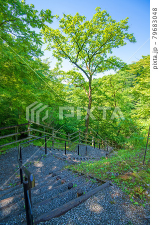 熊ノ平駅 アプトの道入口階段 初夏の風景 熊ノ平駅 アプトの道入口階段 初夏の風景 79683048