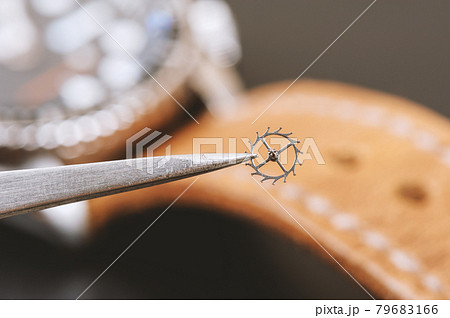 parts of automatic wristwatch 79683166