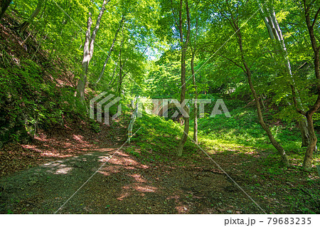 碓氷第五橋梁 アプトの道  アプト式鉄道の廃線跡 遊歩道         碓氷第五橋梁 アプトの道  アプト式鉄道の廃線跡 遊歩道         79683235