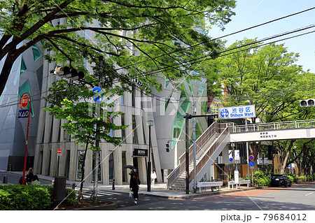 東京　渋谷区　表参道の都市風景 79684012