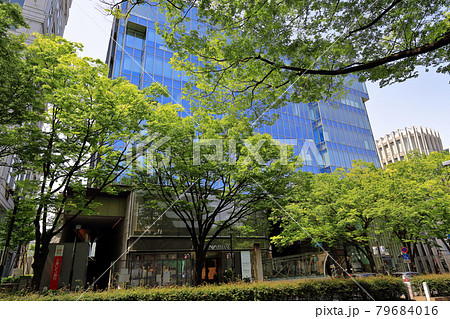 東京 渋谷区 表参道の都市風景 東京 渋谷区 表参道の都市風景 79684016
