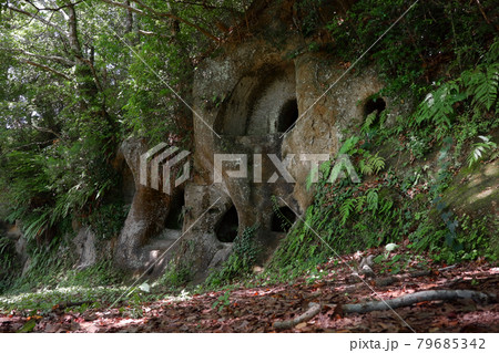 ロマンチック茨城（虎塚古墳の周辺に十五郎横穴墓郡が所在する。いにしえに思いを寄せる。）ひたちなか市 79685342