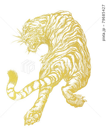金色の虎のイラスト素材