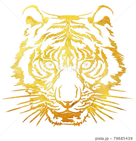 虎の顔面アップのイラスト素材