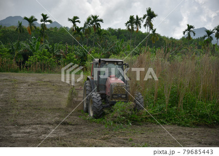 畑 運動場 野原 79685443