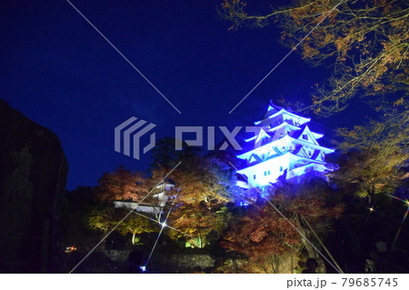 郡上八幡城のライトアップ 79685745