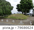 小金井一里塚 79686624