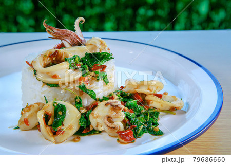 ready to eat of squid fried with basil and red chilly by thai street food style ready to eat of squid fried with basil and red chilly by thai street food style 79686660
