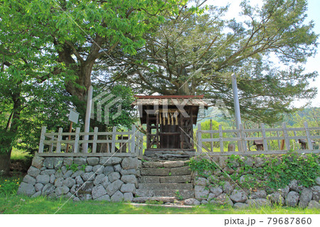 御頭御射宮司総社 長野県茅野市 79687860