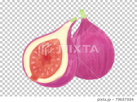 色鉛筆手繪秋季食品無花果插畫 色鉛筆手繪秋季食品無花果插畫 79687884