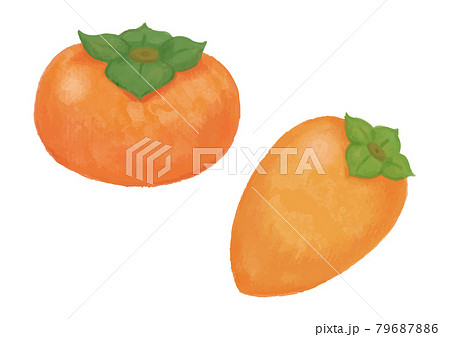 色鉛筆手描き 秋の食材 柿イラストのイラスト素材