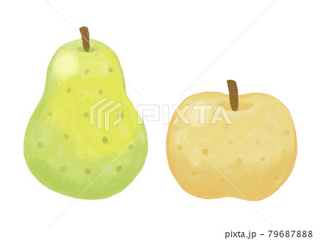 色鉛筆手描き 秋の食材 梨イラストのイラスト素材