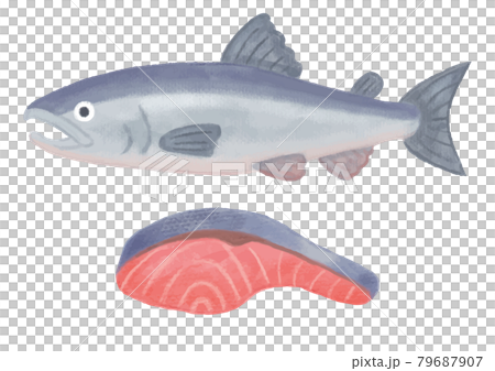 色鉛筆手繪秋季食品鮭魚插畫 色鉛筆手繪秋季食品鮭魚插畫 79687907