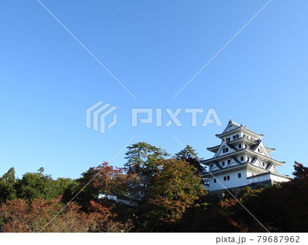 郡上八幡城と空 79687962