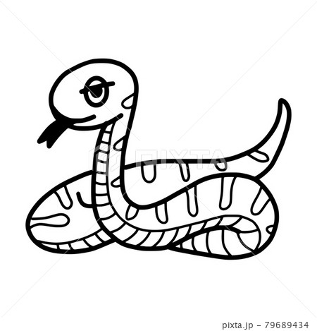 Doodle hand drawn snake for kids coloring concept Doodle hand drawn snake for kids coloring concept 79689434