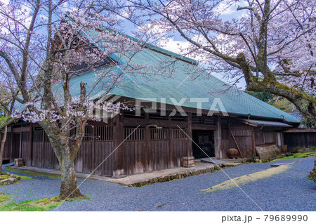 （静岡県）伊豆の国市の重要文化財　桜咲く、江川邸・主屋 79689990