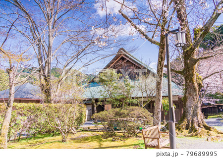 （静岡県）伊豆の国市の重要文化財　桜咲く、江川邸・主屋 79689995