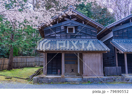 （静岡県）伊豆の国市の重要文化財　江川邸・内庭の蔵　桜の季節 79690552