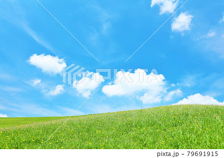 爽やかな青空と新緑の草原の写真素材