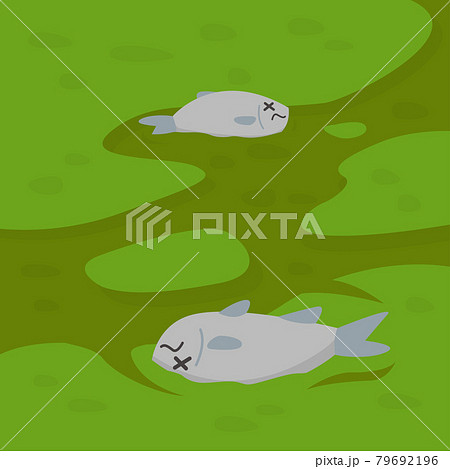 アオコ アオコ 79692196