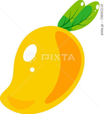 リアルなマンゴーイラスト 79693210