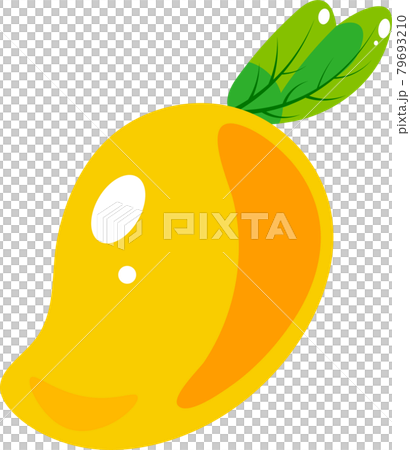 リアルなマンゴーイラスト 79693210