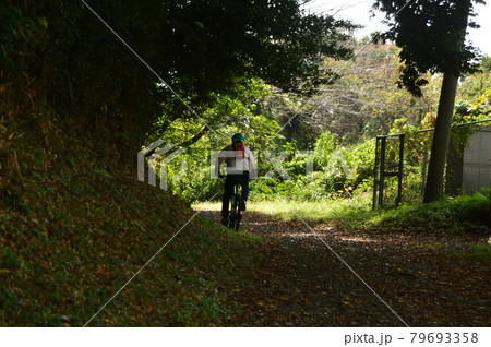八王子鑓水絹の道の秋はこんな感じです 79693358