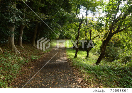 八王子鑓水絹の道の秋はこんな感じです 八王子鑓水絹の道の秋はこんな感じです 79693364