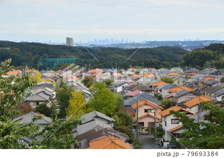 八王子鑓水絹の道の秋はこんな感じです 79693384