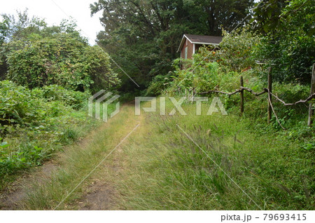 八王子鑓水絹の道の秋はこんな感じです 八王子鑓水絹の道の秋はこんな感じです 79693415